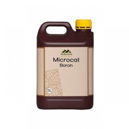 Микрокат Бор